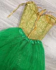 Disfraz Princesa y el sapo